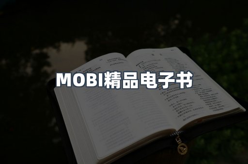 PDF电子书系列